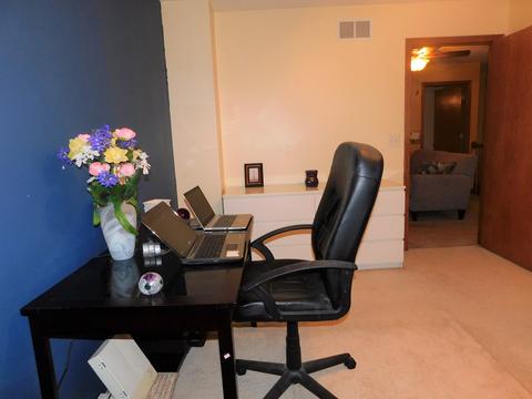 25227 S Spring St, Manhattan, IL 60442 photo 29