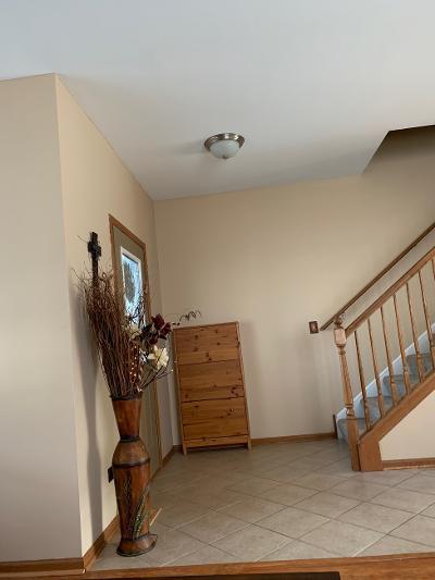 25227 S Spring St, Manhattan, IL 60442 photo 7