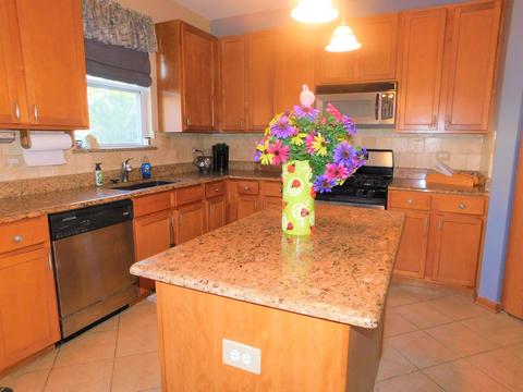 25227 S Spring St, Manhattan, IL 60442 photo 13
