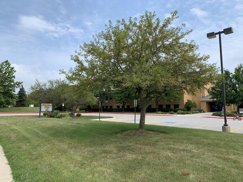 136 Forestview Ln, Aurora, IL 60502 photo 41