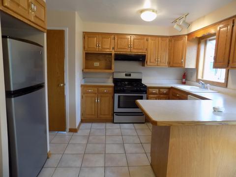 3 Dunlap Rd, Park Forest, IL 60466 photo 2