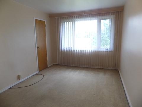 3 Dunlap Rd, Park Forest, IL 60466 photo 7