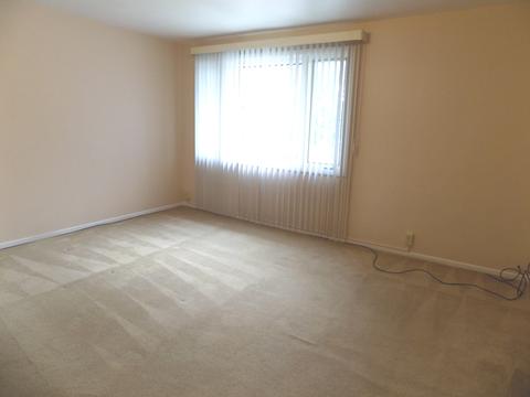3 Dunlap Rd, Park Forest, IL 60466 photo 6