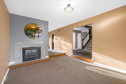 13206 Vicky St, Plainfield, IL 60585 photo 7