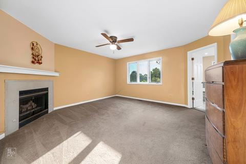 13206 Vicky St, Plainfield, IL 60585 photo 11
