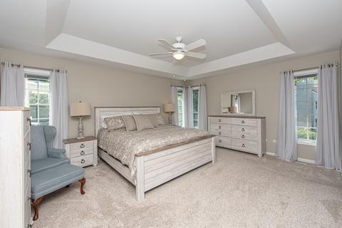 24325 Cropland Dr, Plainfield, IL 60544 photo 30