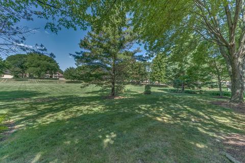 1135 Stuart Ct, Naperville, IL 60540 photo 35