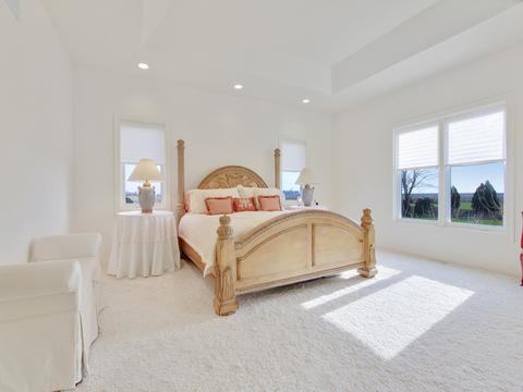 919 County Rd 2800 E, El Paso, IL 61738 photo 13