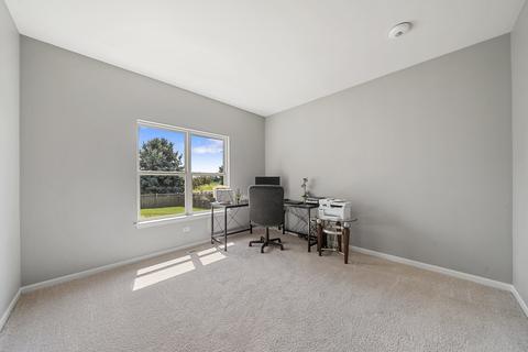 26736 Lindengate Cir, Plainfield, IL 60585 photo 22