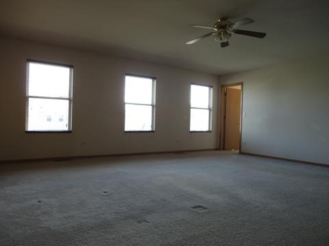 14442 Independence Dr, Plainfield, IL 60544 photo 24
