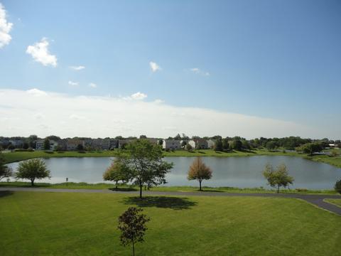 14442 Independence Dr, Plainfield, IL 60544 photo 49