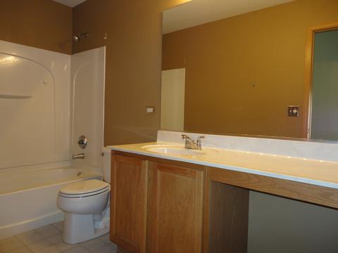 14442 Independence Dr, Plainfield, IL 60544 photo 35