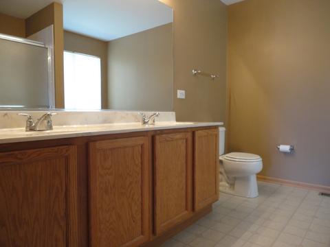 14442 Independence Dr, Plainfield, IL 60544 photo 28