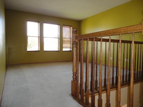 14442 Independence Dr, Plainfield, IL 60544 photo 21