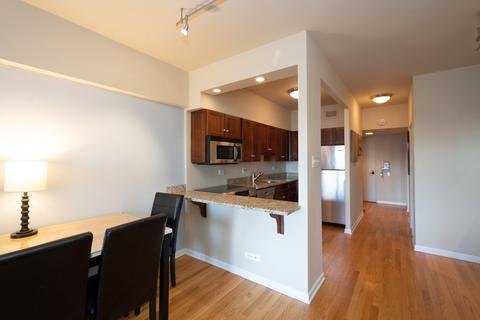 175 E Delaware Pl #6016, Chicago, IL 60611 photo 7