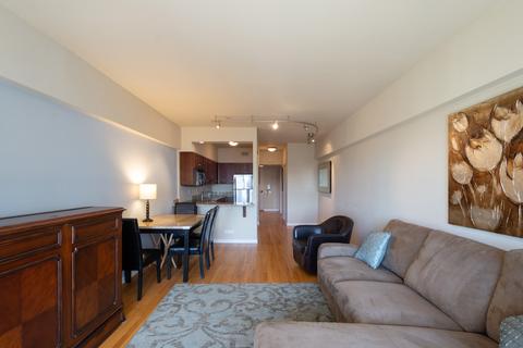 175 E Delaware Pl #6016, Chicago, IL 60611 photo 8