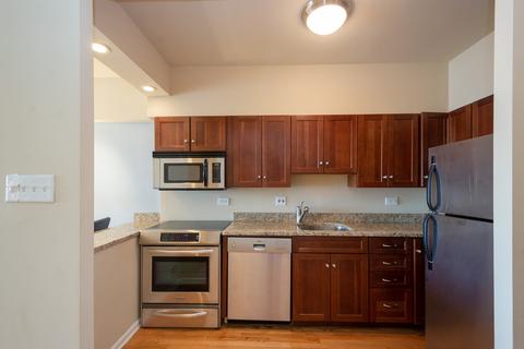 175 E Delaware Pl #6016, Chicago, IL 60611 photo 6