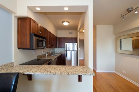 175 E Delaware Pl #6016, Chicago, IL 60611 photo 5
