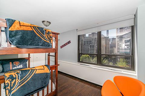 222 E Pearson St #1008, Chicago, IL 60611 photo 13