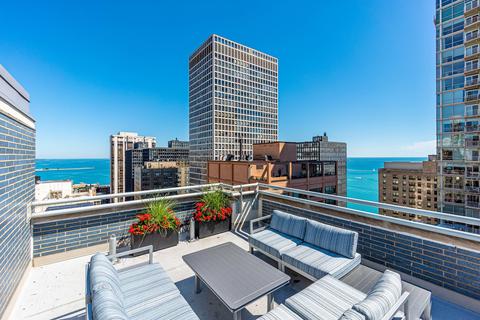 222 E Pearson St #1008, Chicago, IL 60611 photo 21