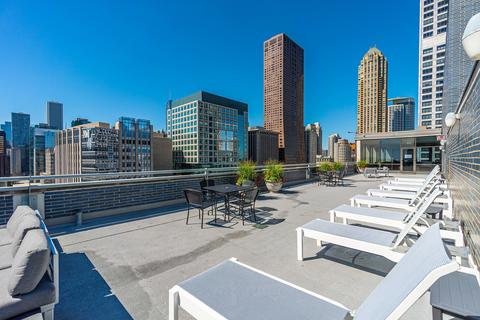 222 E Pearson St #1008, Chicago, IL 60611 photo 20