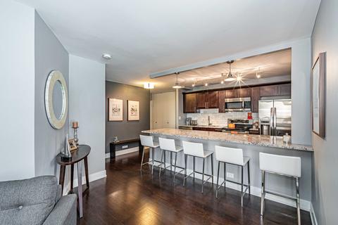 222 E Pearson St #1008, Chicago, IL 60611 photo 6