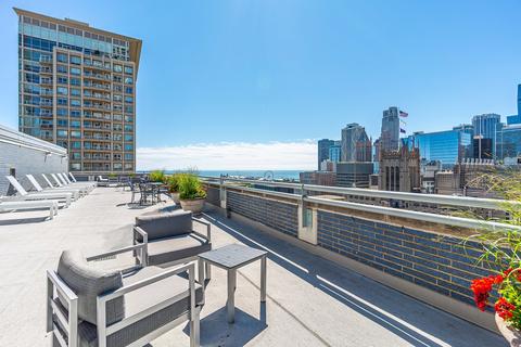 222 E Pearson St #1008, Chicago, IL 60611 photo 18