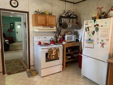 403 S Putnam St, Lostant, IL 61334 photo 10