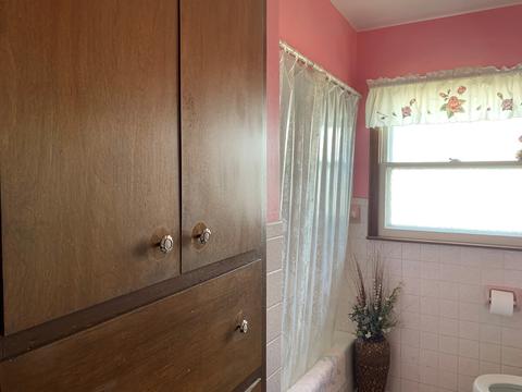 403 S Putnam St, Lostant, IL 61334 photo 15