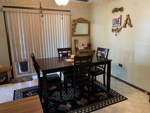 403 S Putnam St, Lostant, IL 61334 photo 8