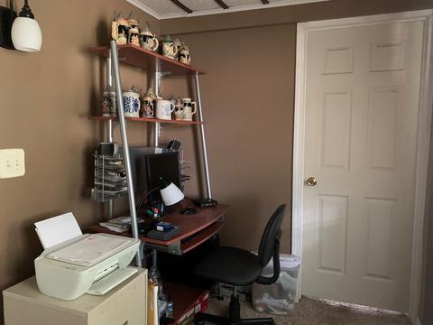 403 S Putnam St, Lostant, IL 61334 photo 13