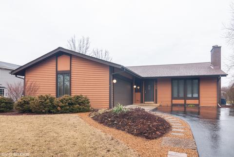 105 Longleaf Dr, Naperville, IL 60540 photo 1