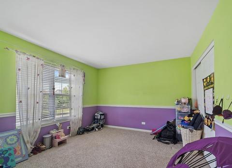 13625 Marigold Rd, Plainfield, IL 60544 photo 18