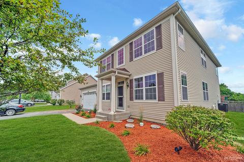 13625 Marigold Rd, Plainfield, IL 60544 photo 2