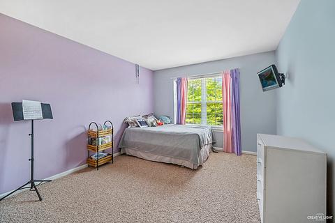13625 Marigold Rd, Plainfield, IL 60544 photo 17