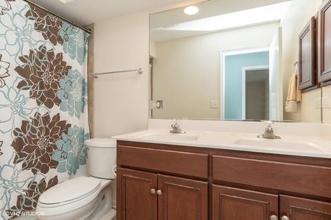 13629 Arborview Blvd, Plainfield, IL 60585 photo 17