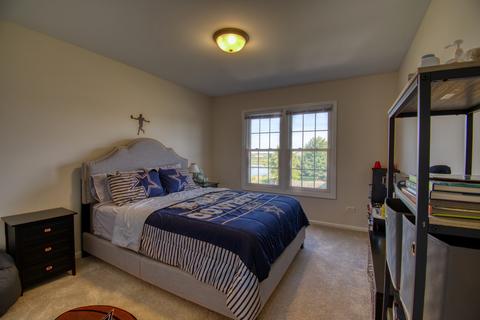 13629 Arborview Blvd, Plainfield, IL 60585 photo 21