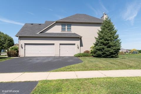 13629 Arborview Blvd, Plainfield, IL 60585 photo 29