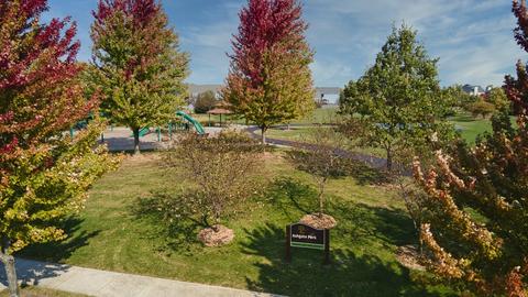 13629 Arborview Blvd, Plainfield, IL 60585 photo 30