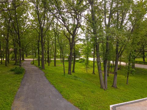 20501 Hellenic Dr, Olympia Fields, IL 60461 photo 39