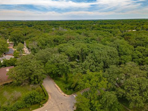 20501 Hellenic Dr, Olympia Fields, IL 60461 photo 45
