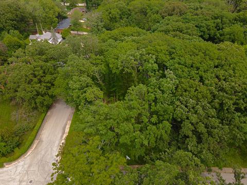 20501 Hellenic Dr, Olympia Fields, IL 60461 photo 44