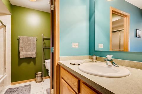 7205 S Ferdinand Ave, Bridgeview, IL 60455 photo 6