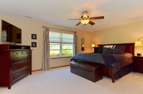 6080 Irene Dr, Hoffman Estates, IL 60192 photo 16