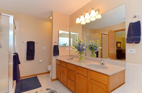 6080 Irene Dr, Hoffman Estates, IL 60192 photo 17