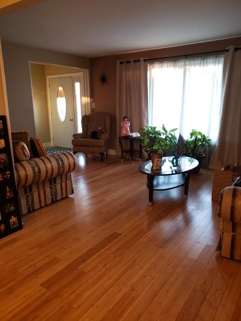 8447 78th Ave, Bridgeview, IL 60455 photo 6
