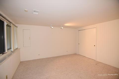252 Spring Cove Dr, Elgin, IL 60123 photo 39