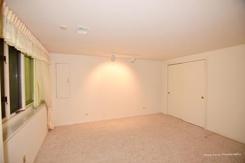 252 Spring Cove Dr, Elgin, IL 60123 photo 47