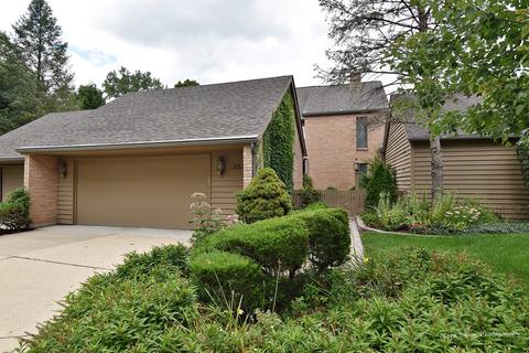 252 Spring Cove Dr, Elgin, IL 60123 photo 4