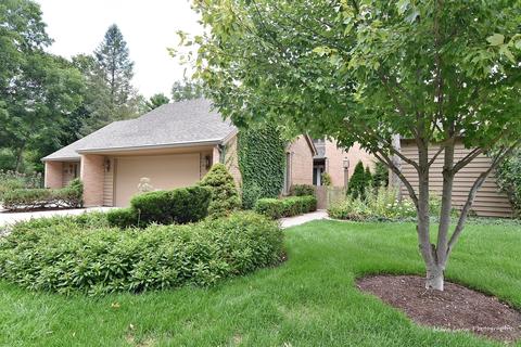 252 Spring Cove Dr, Elgin, IL 60123 photo 1